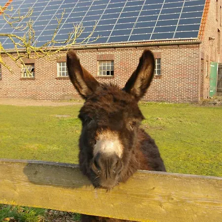Haus Mit Der Roten Telefonzelle * Apen